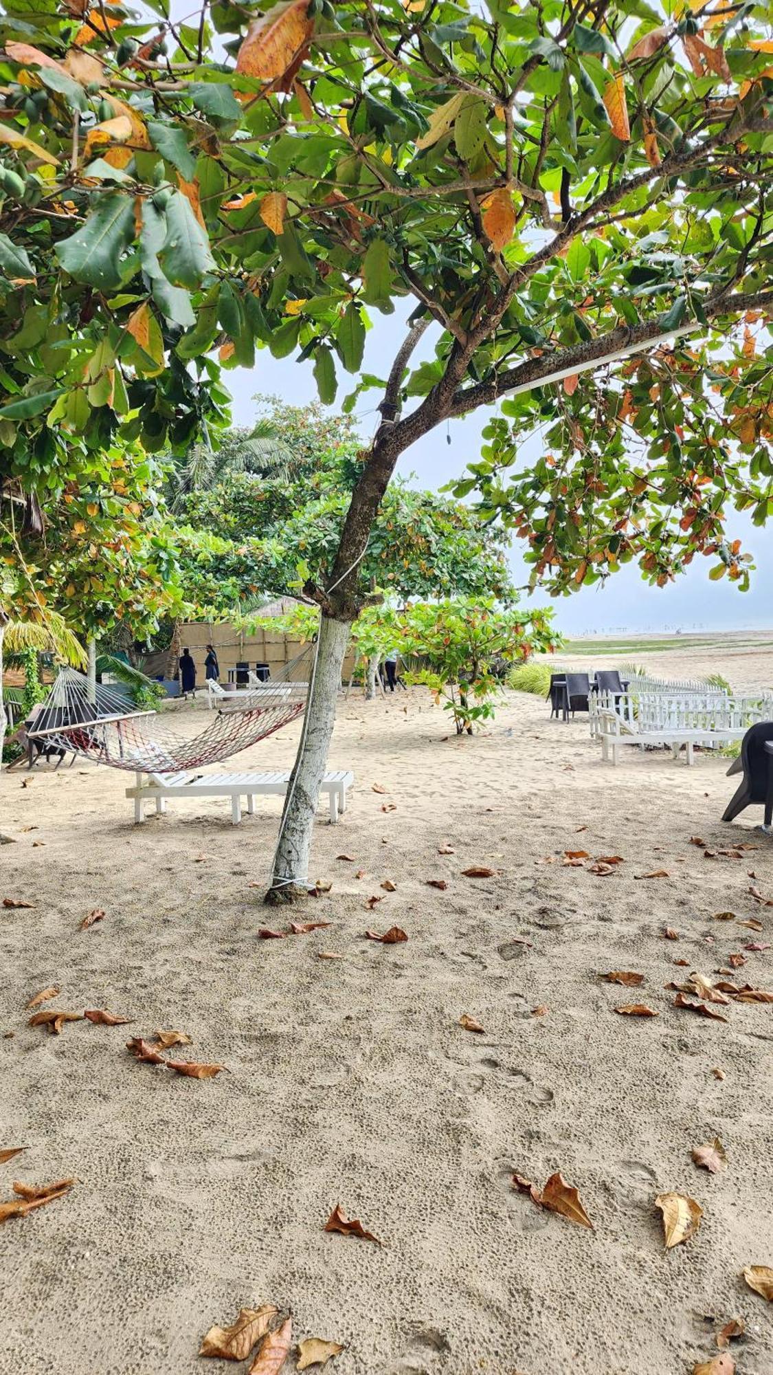 Palm Beach Resort, Alleppey Alappuzha Dış mekan fotoğraf