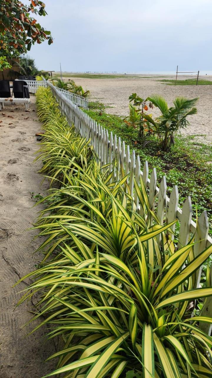 Palm Beach Resort, Alleppey Alappuzha Dış mekan fotoğraf
